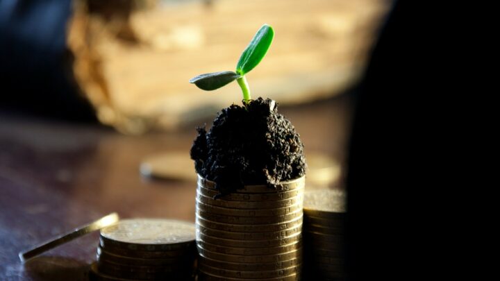 Zu sehen sind unterschiedlich große Stappel aus Geldmünzen. Aus dem größten Stappel wächst eine kleine Pflanze.